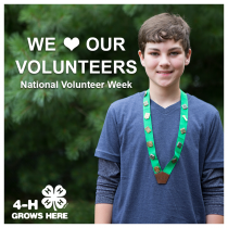 WSU Grays Harbor County 4-H Youth Development logo