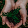 Help Care for our Demonstration Garden!