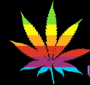 Texas NORML @ Austin Pride