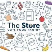 The Store logo