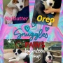 Foster/Day Trips/Shelter Breaks