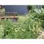 Festival Beach Community Garden SPRING CLEANING