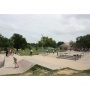 Mabel Davis District Park (Park walk, trash pick up, invasive tree marking, future seed island scouting).