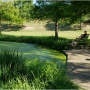 Northwest District Park: Revitalizing Pond Edge Plantings
