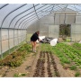 Loy Farm Volunteer Shift