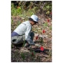 Community Native Shrub Planting Volunteer Project -- Prairie Dog Habitat