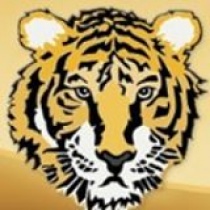 Dripping Springs High School logo