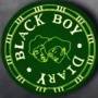 Black Boy Diary 2025-2026