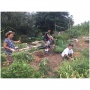 August Community Garden Workday