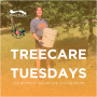 Tree Care Tuesday in Live Oak Meadow