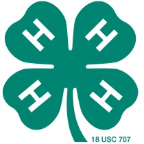 WSU Kitsap County 4-H Youth Development logo