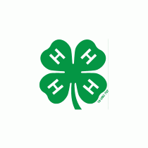 WSU Snohomish County 4-H Youth Development logo