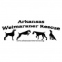 Arkansas Weimaraner Rescue