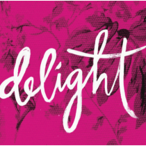 Delight Ministries logo