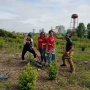 Park Clean Up and Invasive Species Destruction