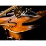 ACOUSTIC MUSIC PROJECT: CONCERT