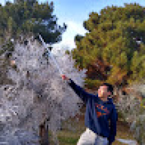 Alvin Xu Avatar