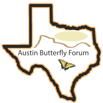 Austin Butterfly Form | Austin, Texas - Your City Government