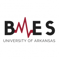 Biomedical Engineering Society logo