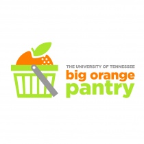 Big Orange Pantry logo
