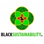 Black Sustainability Summit