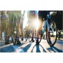 Ride Director