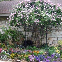 Barton Hills Garden Club logo
