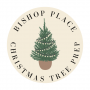 Christmas Tree Prep
