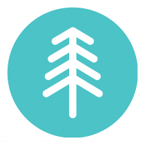 Branch Out Alternative Breaks logo