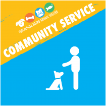 Community Service logo