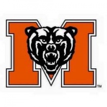Student Organizations logo