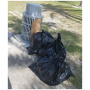 Courtney Campbell Causeway Clean Up