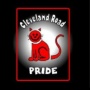 Cleveland Road Elementary Book Distributions