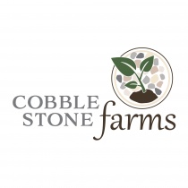Cobblestone Farms Avatar