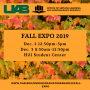 2019 Fall Undergraduate Research Expo Judging