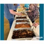 Community Meal