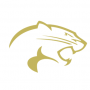 Cougar Band Cleanup