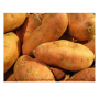 Crop Drop with Recover Food Feed Hope, Project Green Fork, and the Society of St. Andrew