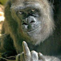 David Tyler