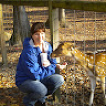 Denise Brinegar Avatar