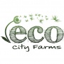 Earth Day Seedling Sale Volunteer Event