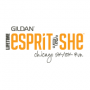2016 Gildan Esprit de She Chicago 5k/10k Run