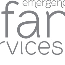 Emergency Infant Services (EIS) logo
