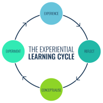 Experiential Learning Avatar