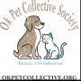 Helping Shelter Dogs