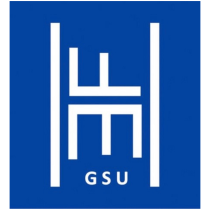 Future Healthcare Executives logo