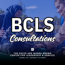 BCLS Consultations logo