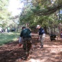 Brush Removal for Fire Safety at Greenbelt Park