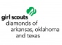 Program Support Volunteer