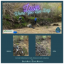 Central Williamson Creek Advocates Creek Adopters KAB Love Where You Live Day May Cleanup